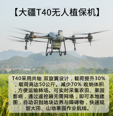 &#20061;&#28216;&#24179;&#21488;&#97;&#112;&#112;&#23448;&#32593;&#45;&#20061;&#28216;&#40;&#20013;&#22269;&#41;
